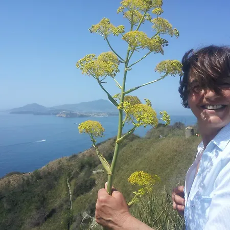 Mary's Country - In Charming And Amazing Sorrento Coast Massa Lubrense