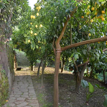 Willa Mary's Country - In Charming And Amazing Sorrento Coast *